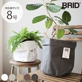BRID �֥�å� Olika �ץ�󥿡����С� 8�� 8off