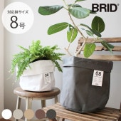 BRID ֥å Olika ץ󥿡С 8