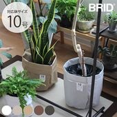 BRID �֥�å� Olika �ץ�󥿡����С� 10�� 8off