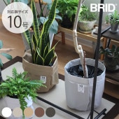 BRID ֥å Olika ץ󥿡С 10