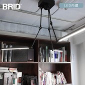 BRID �֥�å� GENERAL ������ɥ���� LED�饤�� 3�����෿ ����
