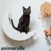 animacolle ���˥ޥ��� ����åȥࡼ��