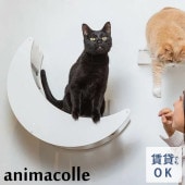 animacolle ���˥ޥ��� ����åȥࡼ��