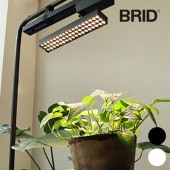 BRID �֥�å� LED ��ʪ�����饤�� 30W