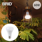 BRID �֥�å� LED ��ʪ�����饤�� 60 COOL