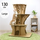 Paper New Standard All ways ����åȥ�� �ĥ꡼���ƥå� �顼��