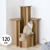 Paper New Standard All ways ����åȥ�� �����������ƥå�