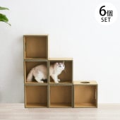 Paper New Standard All ways ����åȥ�� ����åȥܥå���