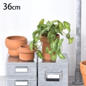 ���󥴥˥��� �֥å���