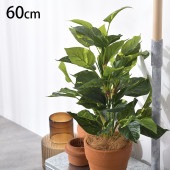 �ݥȥ� �֥å���