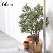 �ܥå������åɥĥ꡼ �֥å���