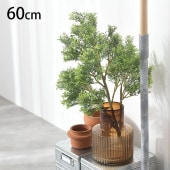 �ǥ����꡼�եĥ꡼ �֥å���