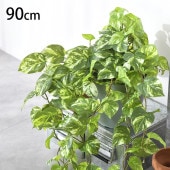 �ݥȥ� �ϥ󥮥󥰥֥å���