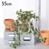 �����ӡ�������ǥ� �ϥ󥮥󥰥֥å���