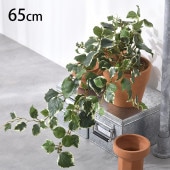 �إǥ� �ϥ󥮥󥰥֥å���