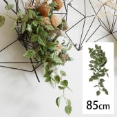 �ԥ쥢���饦�� �ϥ󥮥󥰥֥å���