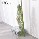 �������Х��� �ϥ󥮥�