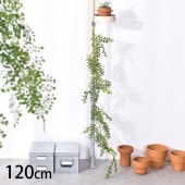 �륹���� ��������