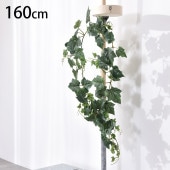 ���졼�� ��������