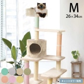 ����äȴ����������夻�ؤ��ޤȤ����С���26��34cm