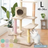 ����äȴ����������夻�ؤ��ޤȤ����С���48��34cm