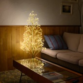 Another Garden ���ʥ��������ǥ� GOLDY ����ߥ͡������ĥ꡼ �⤵120cm
