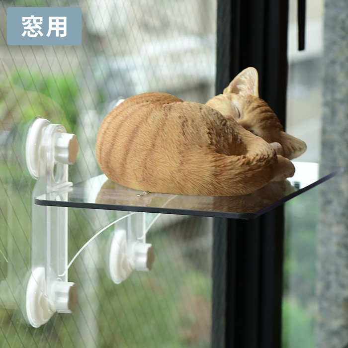 mwmmキャットステップ 000000011969_A9p9uhn.jpg