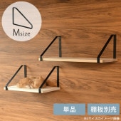 �������� AXCIS ��������ޥ��������ե쥹�� M ����¦1����