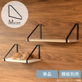  AXCIS ޥե쥹 M ¦1