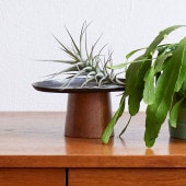 shesay ������ �ڤȥ�������ǤĤ��ä�����ݡ��� �����Х�