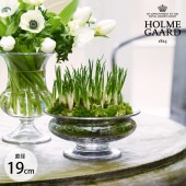 ���饹���� ��̺��� �ۥ�६���� Old English �ե��ܥ��� ľ��19cm  ���� �̲� ����ƥꥢ �ե��١��� ���� ����ץ� �������