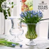 ���饹���� Ʃ�� �ۥ�६���� Old English �١��� �⤵19cm  ���� �̲� ����ƥꥢ �ե��١��� ���� ����ץ� �������