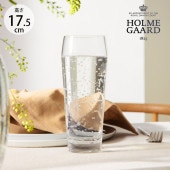 HOLMEGAARD �ۥ�६���� PERFECTION �������������饹 450ml 6�ĥ��å�  �̲����� ��������ã �֥��� �͵� ���å� ���饹 Ʃ�� ���ꥢ �ץ쥼��� ���ե� �������� ���饹 ������� ���å��� ����