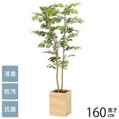 �ե��������꡼�� ȭ���� �緿 ���åɥܥå��� �ޥ���ƥ󥢥å��� 1.6m