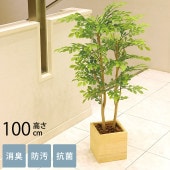 �ե��������꡼�� ȭ���� �緿 ���åɥܥå��� �饤�ȥȥͥꥳ 1m