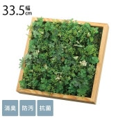 �ե��������꡼�� �͹����� �ɳݤ����åɥܥå���