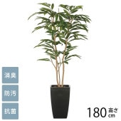 �ե��������꡼�� ȭ���� �緿 ���տ�ʪ �͹����� �����Х󥹥����� ���ॹ�ƥ��С����� 1.8m