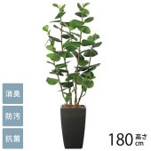 �ե��������꡼�� ȭ���� �緿 ���տ�ʪ �͹����� �����Х󥹥����� �������졼�� 1.8m