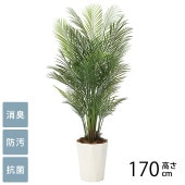 �ե��������꡼�� ȭ���� �緿 ���տ�ʪ �͹����� �ե��������� ���쥫�ѡ��� 1.7m