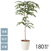 �ե��������꡼�� ȭ���� �緿 ���տ�ʪ �͹����� �ե��������� ���ॹ�ƥ��С����� 1.8m