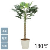 �ե��������꡼�� ȭ���� �緿 ���տ�ʪ �͹����� �ե��������� �������� 1.8m