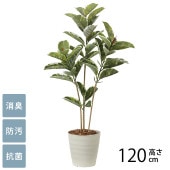 �ե��������꡼�� ȭ���� �緿 ���տ�ʪ �͹����� �ե��������� ����ƥ��� 1.2m