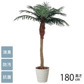 �ե��������꡼�� ȭ���� �緿 ���տ�ʪ �͹����� �ե��������� �ե��˥å��� 1.8m