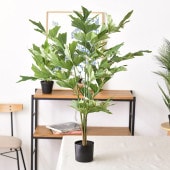 Brown. ֥饦 ե꡼ 㥯䥷 ݥå 90