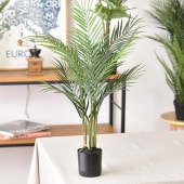 Brown. �֥饦�� �ե��������꡼�� ���쥫�䥷 �ݥå� 70