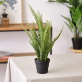 Brown. �֥饦�� �ե��������꡼�� �ܥ��ȥ�ե����� �ݥå� 56