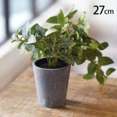 �ե��ȥ˥� �ݥå�