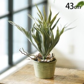 �����å��󥰥ۡ��� �ݥå�