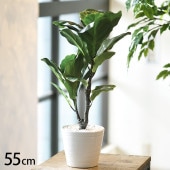 ������Х��� �ݥå�