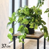 �ݥȥ� �ݥå�